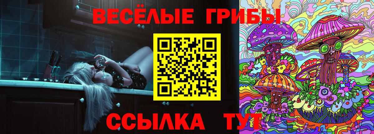 Псилоцибиновые грибы Cubensis  Вход с VPN  Егорьевск  Галлюциногенные грибы MAGIC MUSHROOMS 