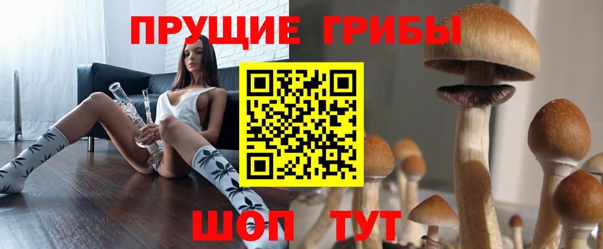 Галлюциногенные грибы Cubensis Егорьевск
